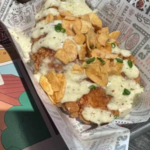 제스티 살룬 사진