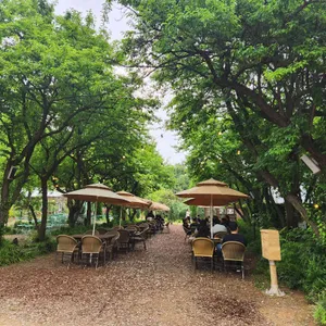 더포레 리뷰 사진