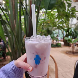 더포레 사진