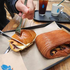 더포레 사진