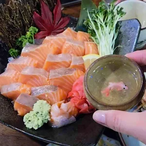 요미치 사진