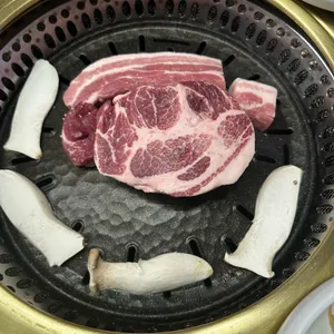 고고기 사진