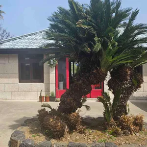 함덕회춘 리뷰 사진