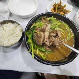 가족사랑 청둥오리전문 사진