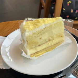 스타벅스 사진