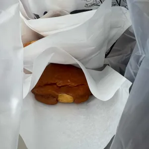 콩방 사진