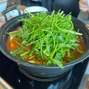등촌샤브칼국수 사진