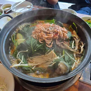 입큰메기 사진