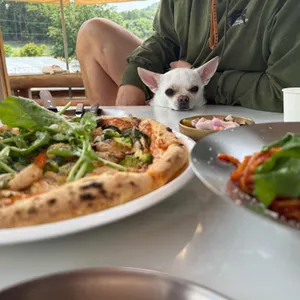꽃뫼카페 사진