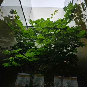 옐로 드래곤 커리 리뷰 사진