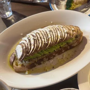 오파토 사진