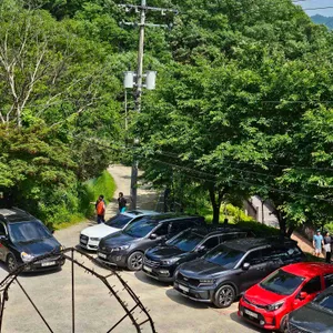 다송 리뷰 사진