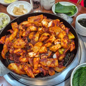 조가네갑오징어 사진
