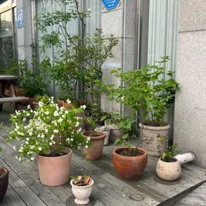 하프문베이 리뷰 사진