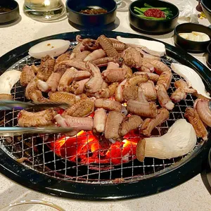 꼼자리 사진