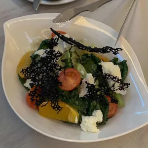 진동 사진