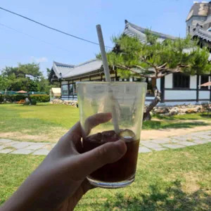 브리니 팔공 사진
