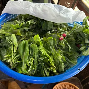 지평보리밥집 사진