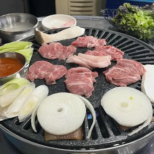 오늘은 돼지 사진