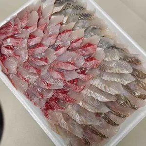 송해네 사진