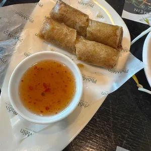 포메인 사진
