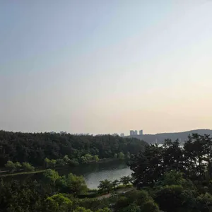할리스 리뷰 사진