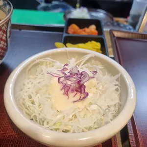 코시 사진
