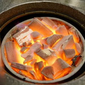 녹돼야지 사진
