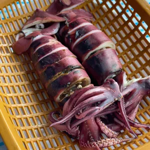 동명항오징어난전 사진