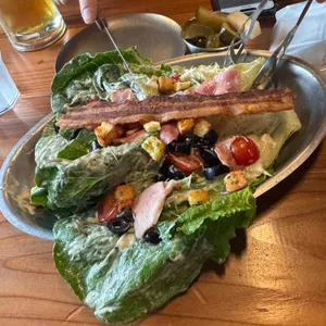 텍캠 사진