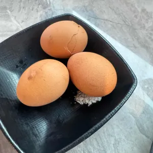 무촌육개장 사진