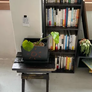 광명 리뷰 사진