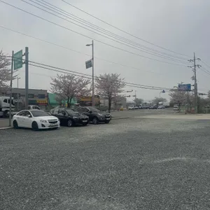 전포 똥강아지 사진