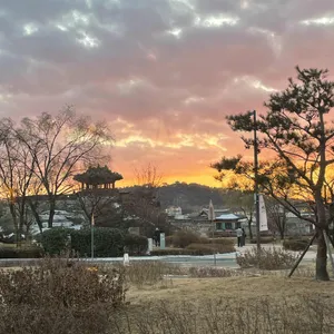 주목 사진 2