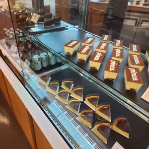 파인즈 사진
