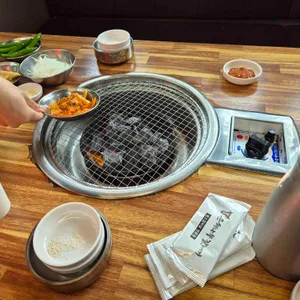 은행나무갈매기 사진