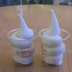 베르그 사진