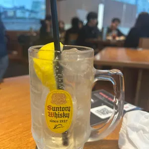 볼하이 사진