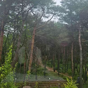 카페 로그 리뷰 사진
