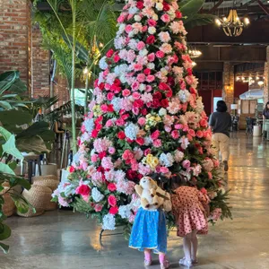 바리루스 리뷰 사진