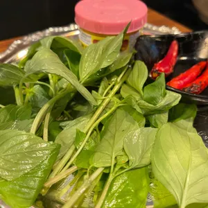 달콤한오후 사진
