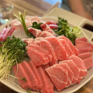 신참치 사진