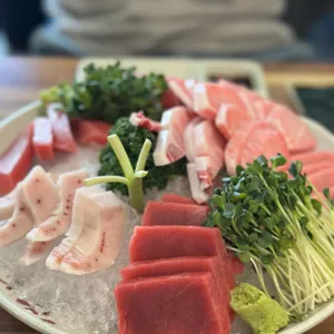 신참치 사진