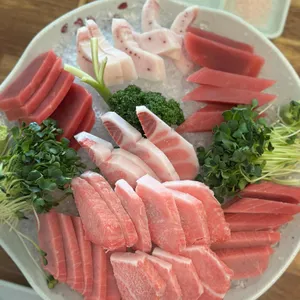 신참치 사진