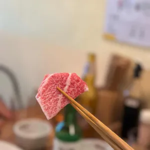 신참치 사진