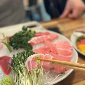 신참치 사진