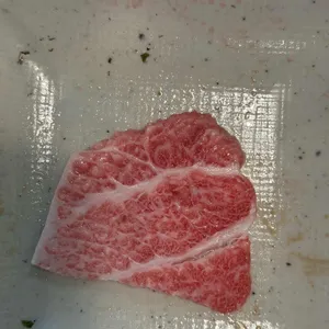 신참치 사진
