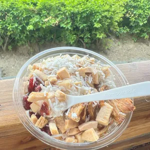 요거브릭 사진
