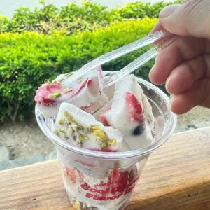 요거브릭 사진