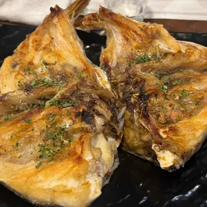 물고기자리 사진